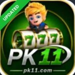 Pk11